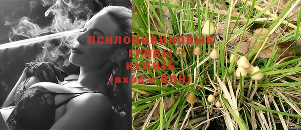 бошки Семикаракорск