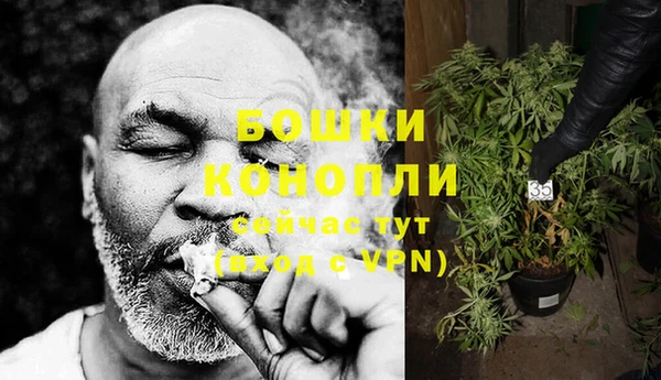 ПСИЛОЦИБИНОВЫЕ ГРИБЫ Семилуки