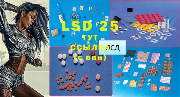 ПСИЛОЦИБИНОВЫЕ ГРИБЫ Семилуки