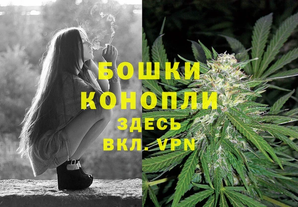ПСИЛОЦИБИНОВЫЕ ГРИБЫ Семилуки
