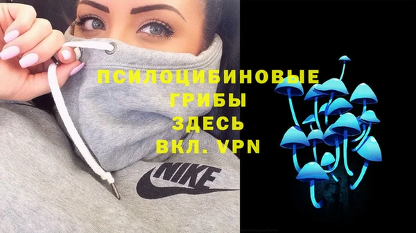 мет Семёнов