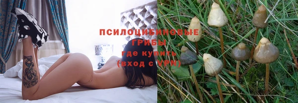 мет Семёнов