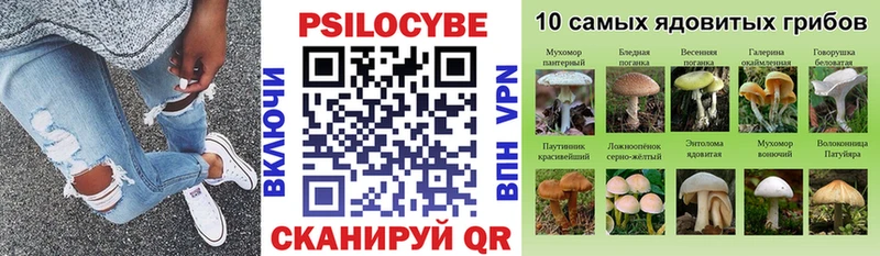 Галлюциногенные грибы мухоморы  наркота  Шахунья 